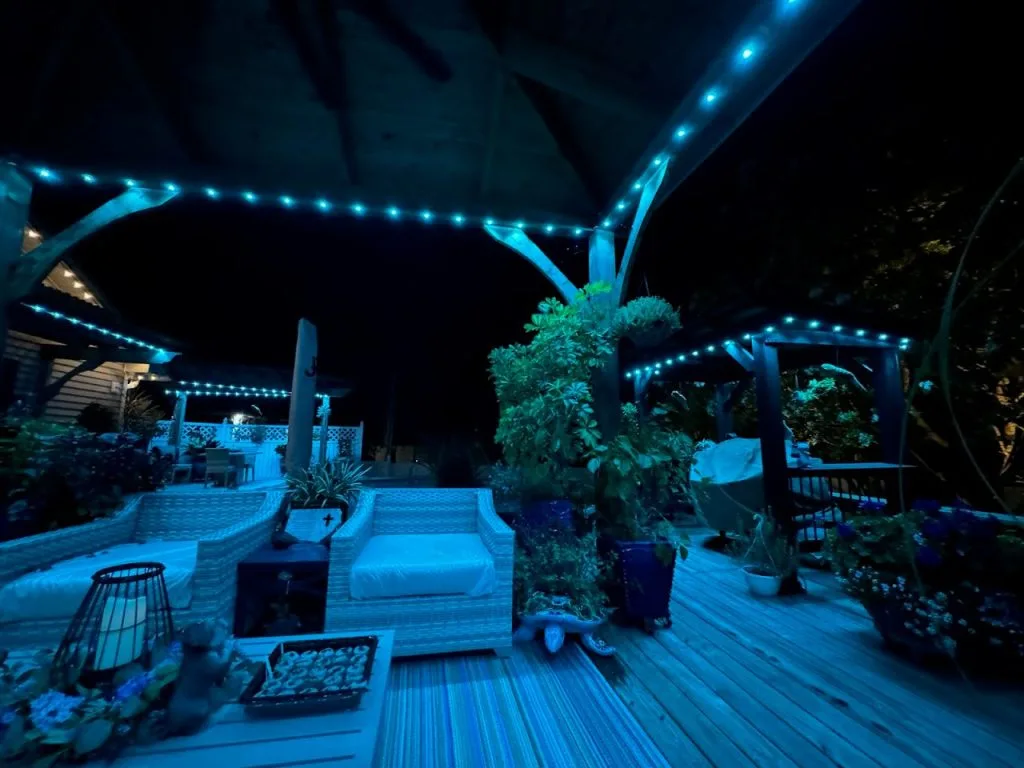 Soft blue lights illuminate a cozy outdoor space surrounded by plants and furniture