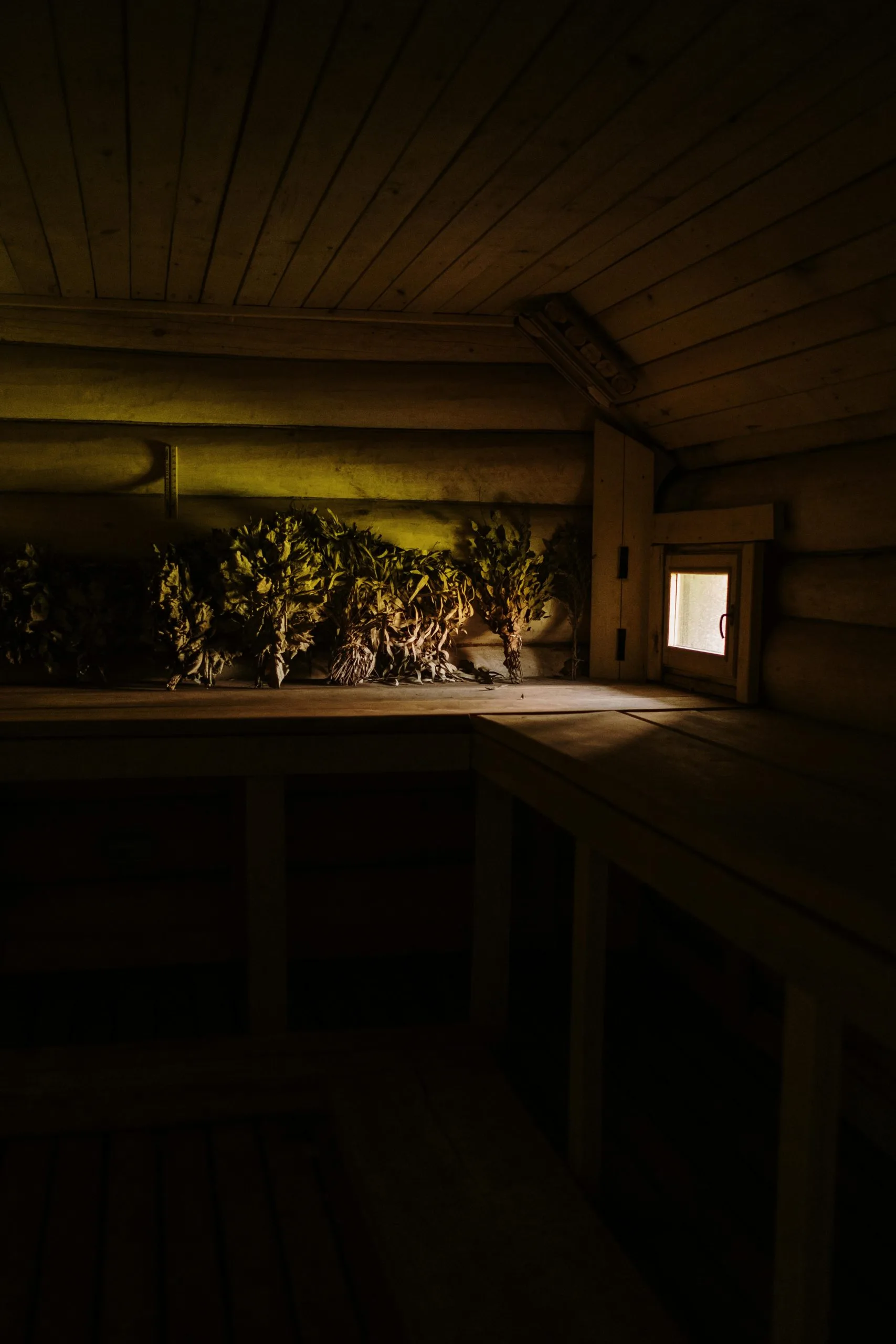 Sauna installation in a rustic wooden room filled with soft light and greenery